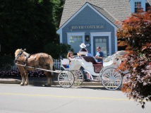 Carriage Ride, Kennebunkport